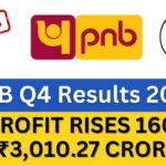 PNB Q4 results 2024 and PNB Dividend