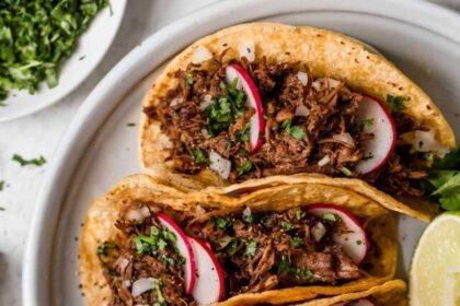 10 Most Tasty Dishes San Antonio Has to Offer!