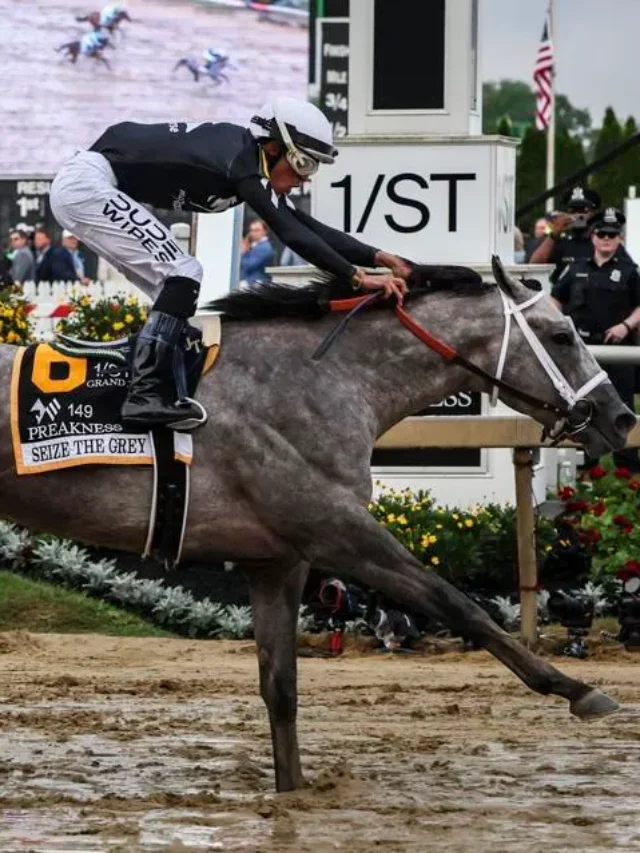 10 Things You Should Know About 2024 Preakness Stakes!